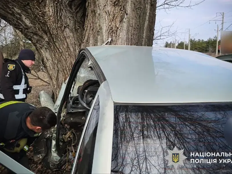 <span class="custom-bold">У Горішніх Плавнях автівка врізалася у дерево біля міського кладовища – водій загинув</span> <span class="pristavka spec-label">доповнено</span> <img src="https://www.telegraf.in.ua/wp-content/uploads/2026/03/gallery.svg" alt="" class="feed-icon" style="width: 20px; height: 20px; vertical-align: middle;" />