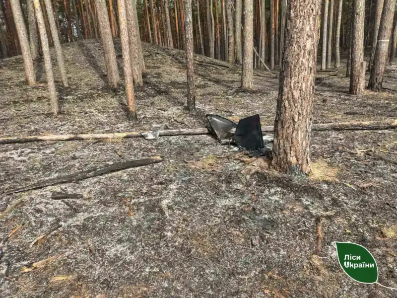 На Полтавщині через уламки дрона сталася лісова пожежа