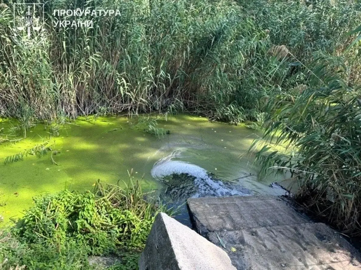 На Полтавщині судитимуть посадовця через забруднення річки Орчик
