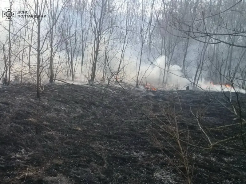 Учора на Кременчуччині загорілися три житлові будинки, а ще 4 масштабні пожежі виникли в екосистемах