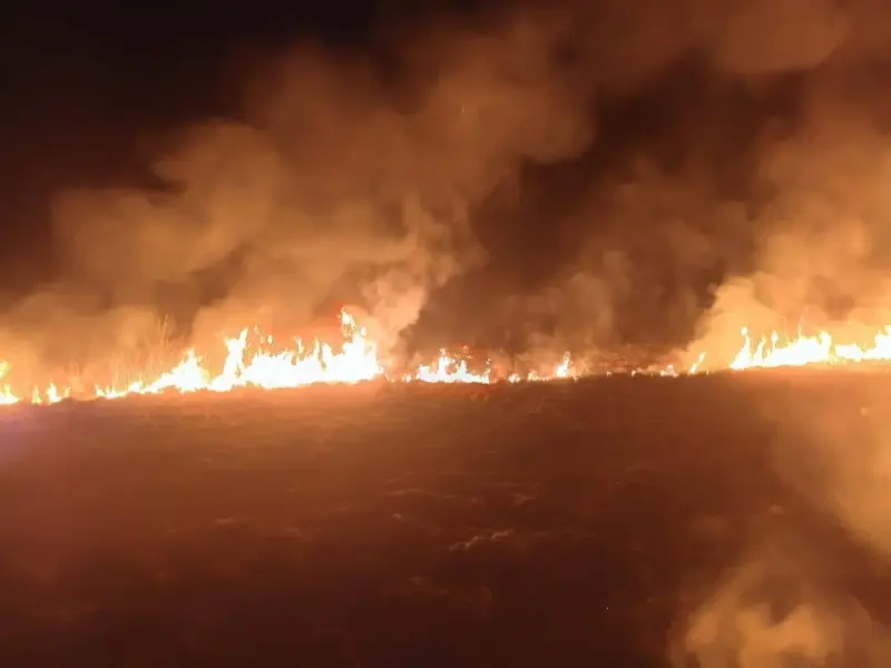 На Кременчуччині за вечір ліквідували кілька пожеж сухостою