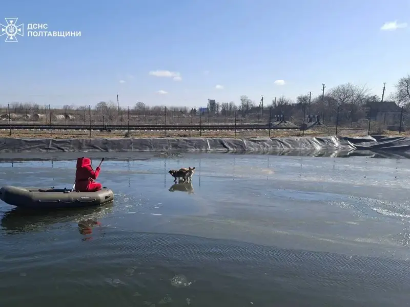 На Полтавщині рятувальники зняли двох собак з крижини, що дрейфувала