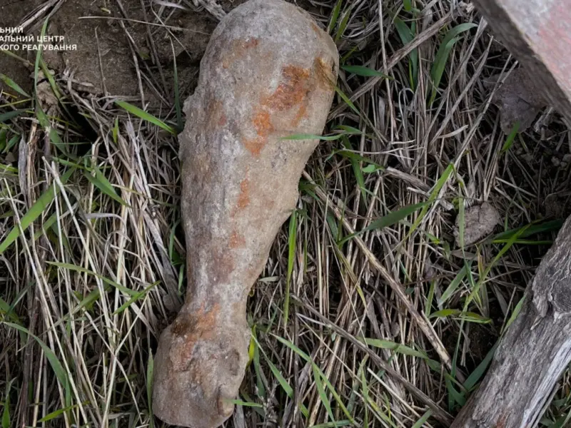 На Кременчуччині знайшли мінометну міну