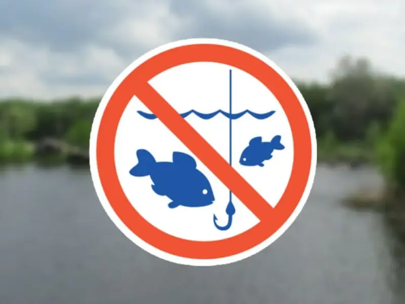 Нерестова заборона на Полтавщині у 2026 році: де і коли не можна рибалити, а де та чим можна