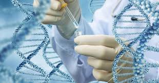 Генетичний моніторинг в людських спільнотах: що це таке та яке його значення <span class="spec-label">Реклама</span>