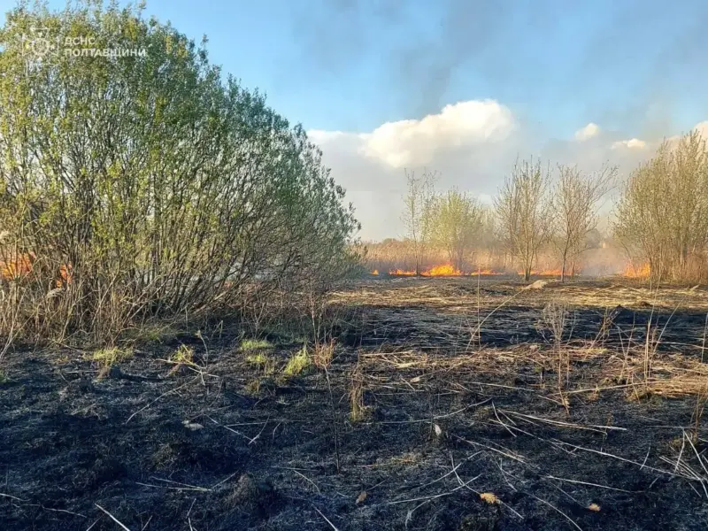 На Полтавщині загасили пожежу сухостою на площі близько гектара
