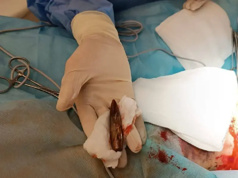 Кременчуцькі волонтери створили «співаючого» «Шерлока», який рятує життя <img src="https://www.telegraf.in.ua/wp-content/uploads/2026/03/video.svg" alt="" class="feed-icon" style="width: 20px; height: 20px; vertical-align: middle;" />