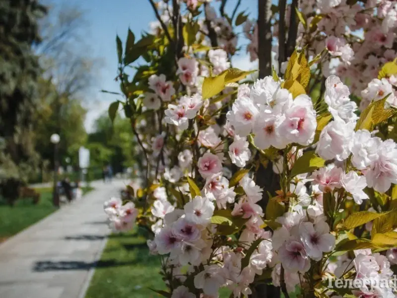 <span class="custom-bold">Обшуки, скандали, вибухи й затори: чим жив Кременчук цього тижня</span>