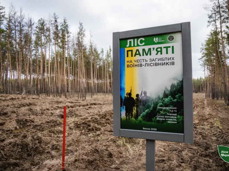 На Полтавщині висадили «Ліс пам’яті» на честь загиблого воїна-лісівника