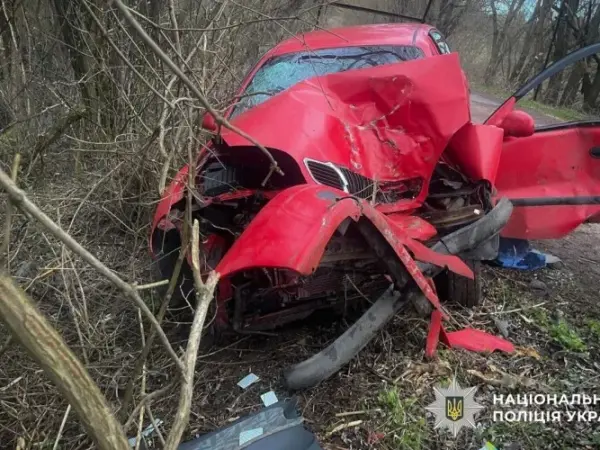 На Полтавщині авто врізалося в дерево: травмувалися двоє людей