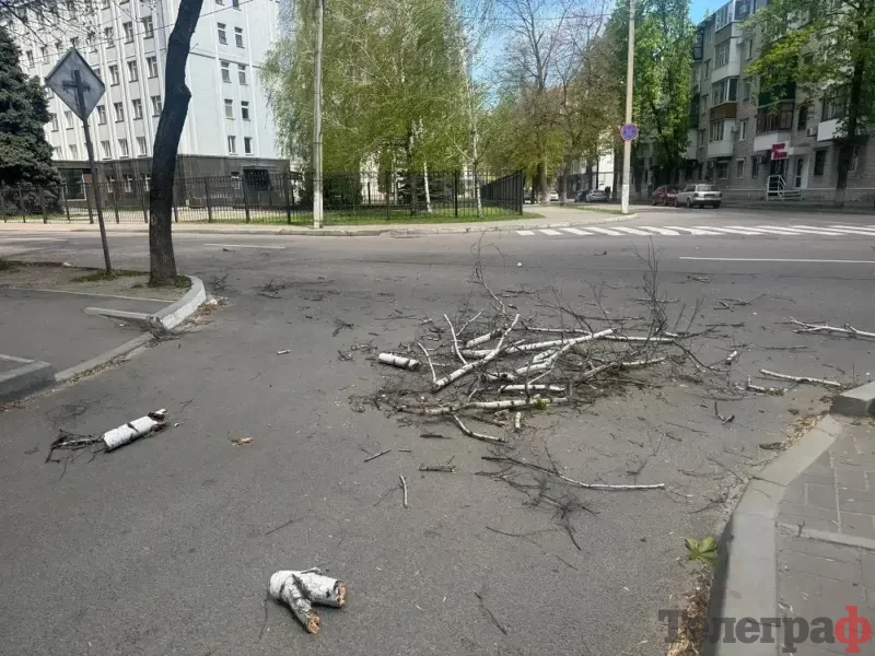 <span class="custom-bold">Наслідки негоди у Кременчуці: місто накрив сильний вітер</span> <img src="https://www.telegraf.in.ua/wp-content/uploads/2026/03/gallery.svg" alt="" class="feed-icon" style="width: 20px; height: 20px; vertical-align: middle;" />