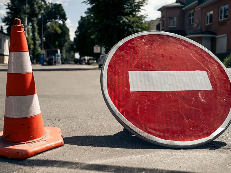 У Кременчуці тимчасово обмежать рух на вулиці Лікаря Парнети через обрізку дерев