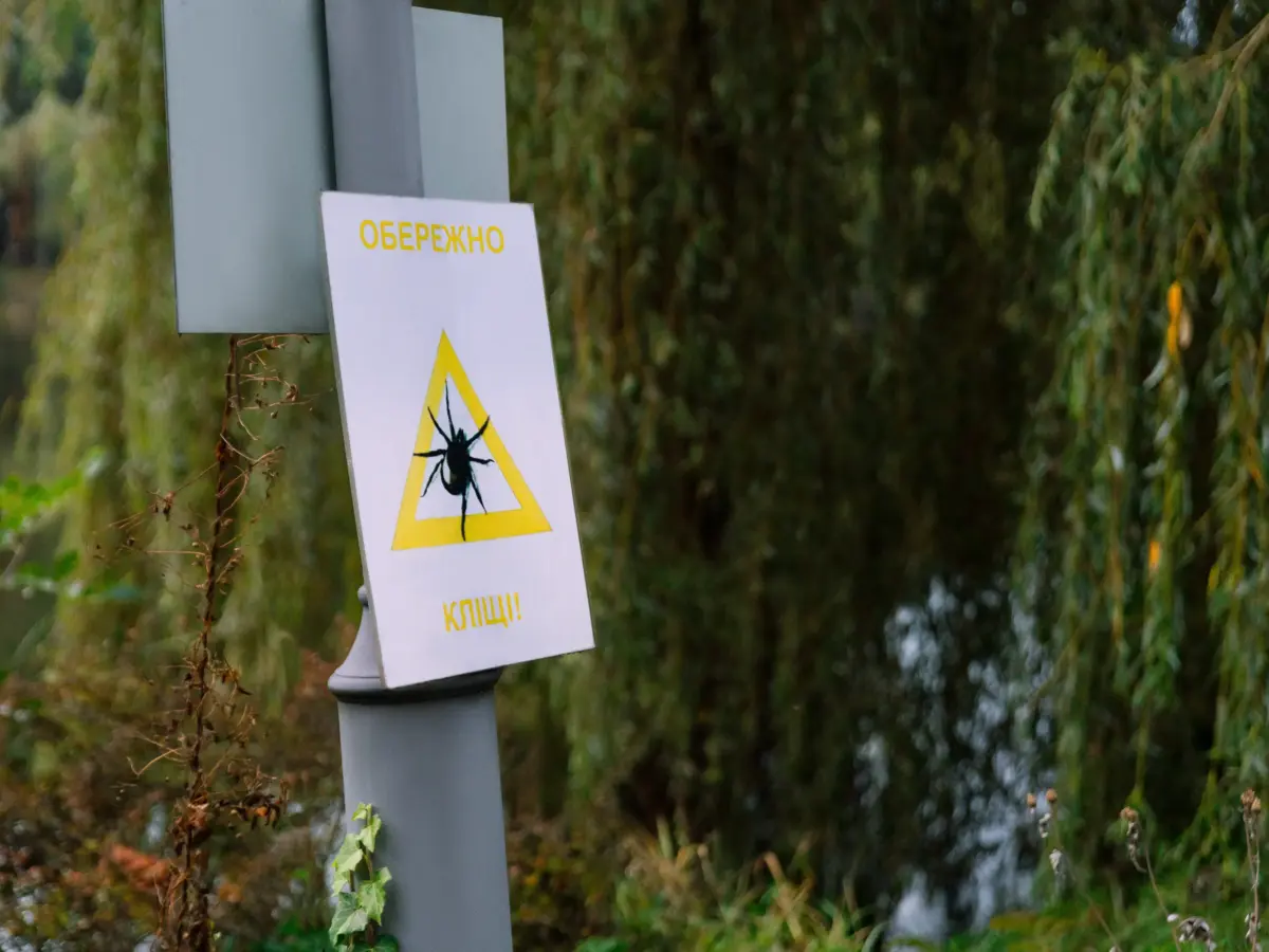 У Кременчуці в парку Миру оброблятимуть зелені насадження від кліщів