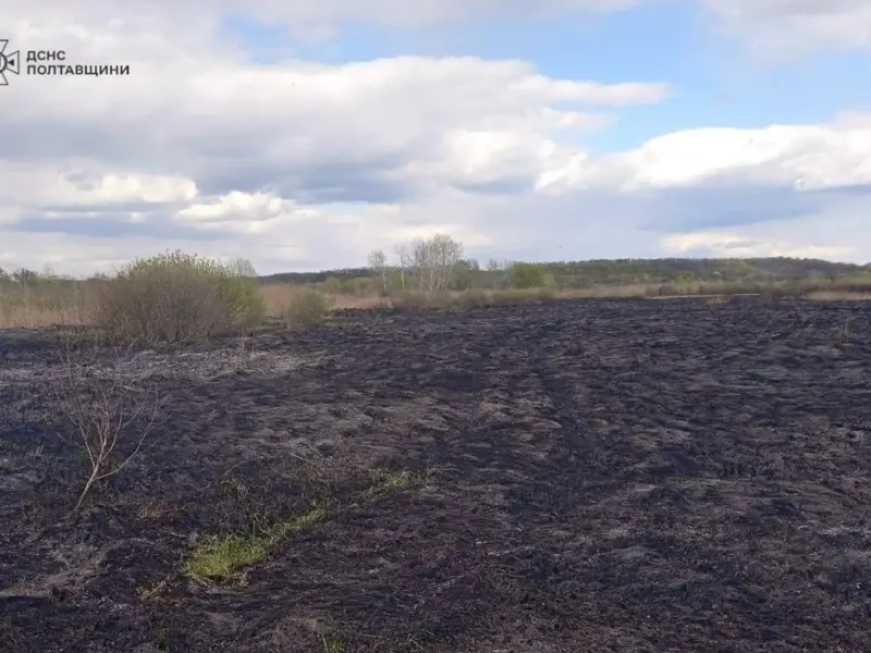 У Кременчуцькому районі за добу вигоріло 1,5 га сухої рослинності