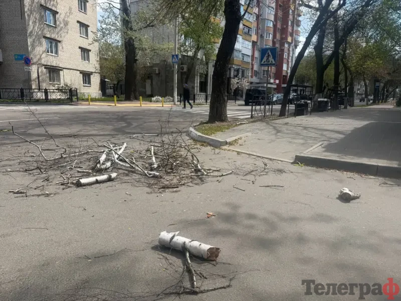 У Полтаві через негоду на дитину впало дерево