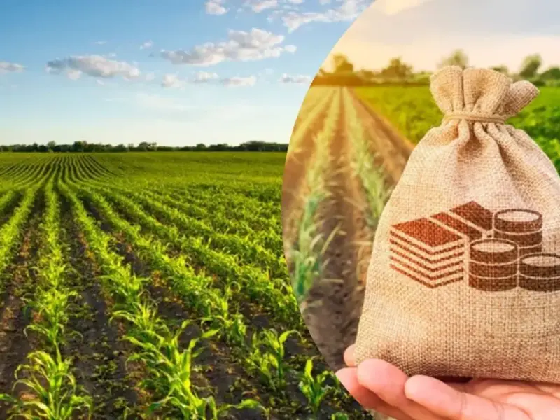 Жителі Полтавщини сплатили майже 50 млн грн податку за землю за три місяці