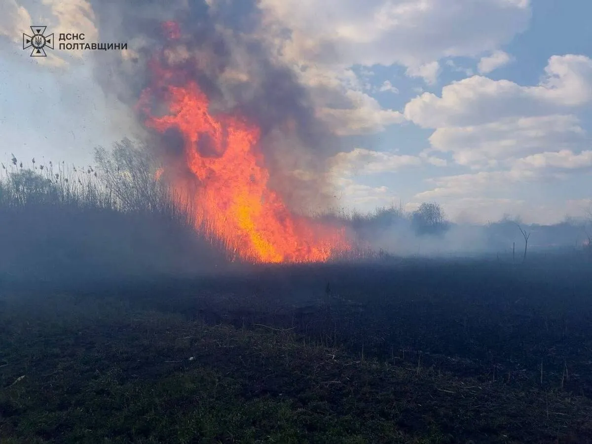 Учора на Кременчуччині сталися 3 пожежі: юнак поранився склом, коли  рятував домашніх улюбленців