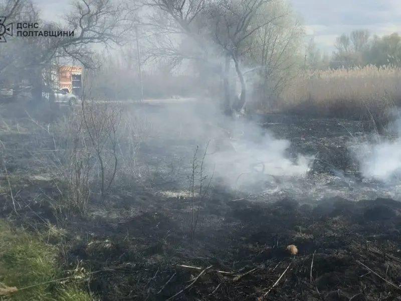 Учора на Кременчуччині упродовж дня загасили дві пожежі в природі