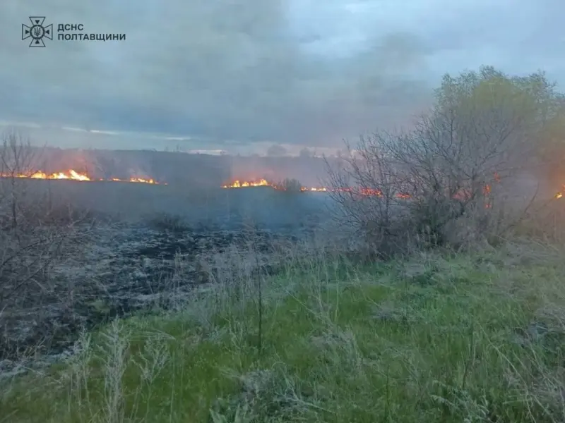 Учора в Кременчуцькому районі сталося дві пожежі в екосистемах – вогнеборці врятували ліс