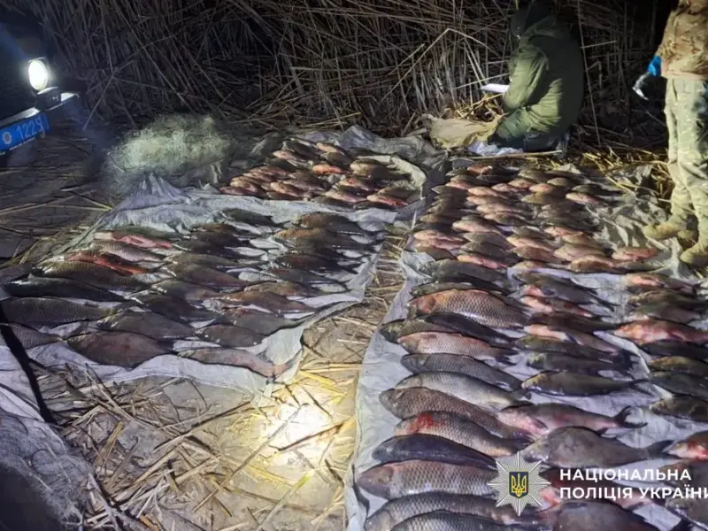 На Полтавщині викрили браконьєрів, які виловили 150 кг риби під час нересту