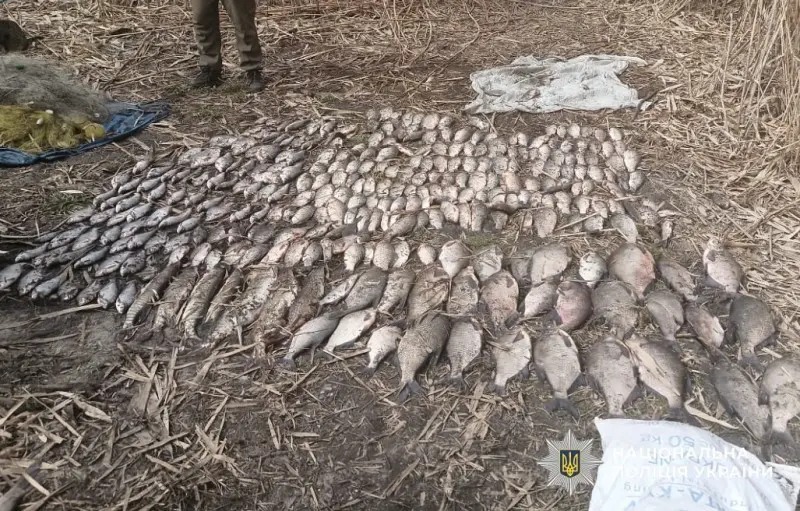 На Полтавщині викрили браконьєрів із уловом на понад 1,5 мільйона гривень