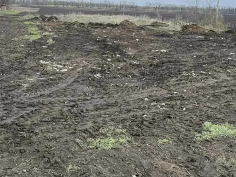 В Полтавському районі прибрали стихійне сміттєзвалище біля Федорівки