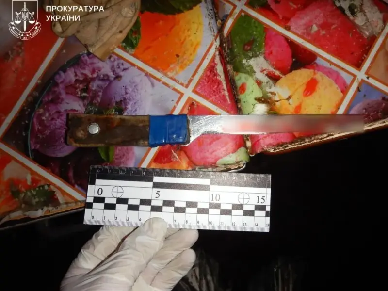 На Кременчуччині чоловік вбив співмешканку: справу передали до суду