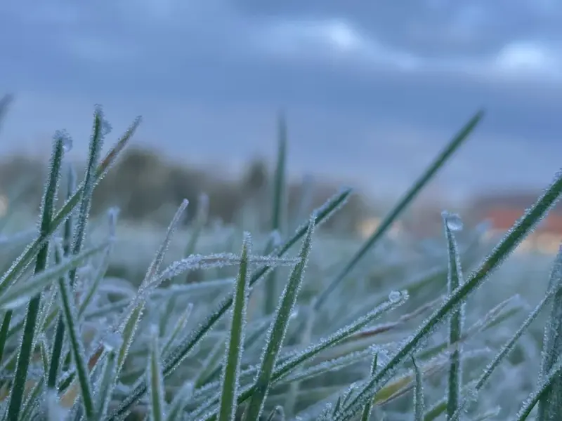 На Полтавщині очікуються заморозки та сильний вітер: прогноз на понеділок, 6 квітня