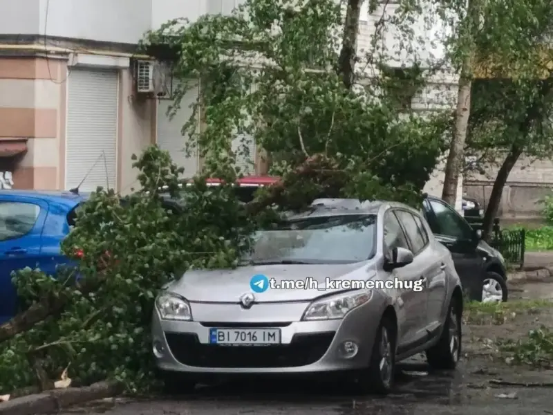 Під Полтавою буревій повалив будівельний кран, а у Кременчуці стовп та дерева
