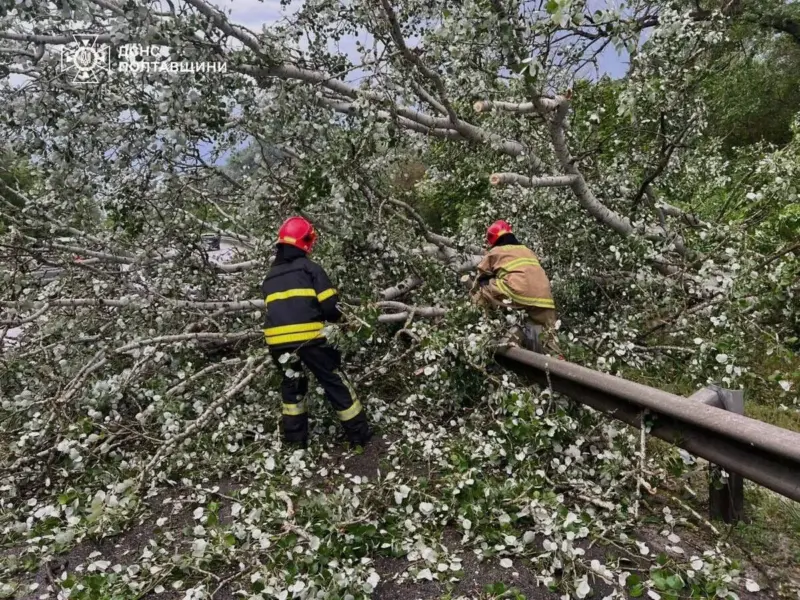 У Кременчуці та Щербаках рятувальники прибирали повалені негодою дерева <img src="https://www.telegraf.in.ua/wp-content/uploads/2026/03/gallery.svg" alt="" class="feed-icon" style="width: 20px; height: 20px; vertical-align: middle;" />