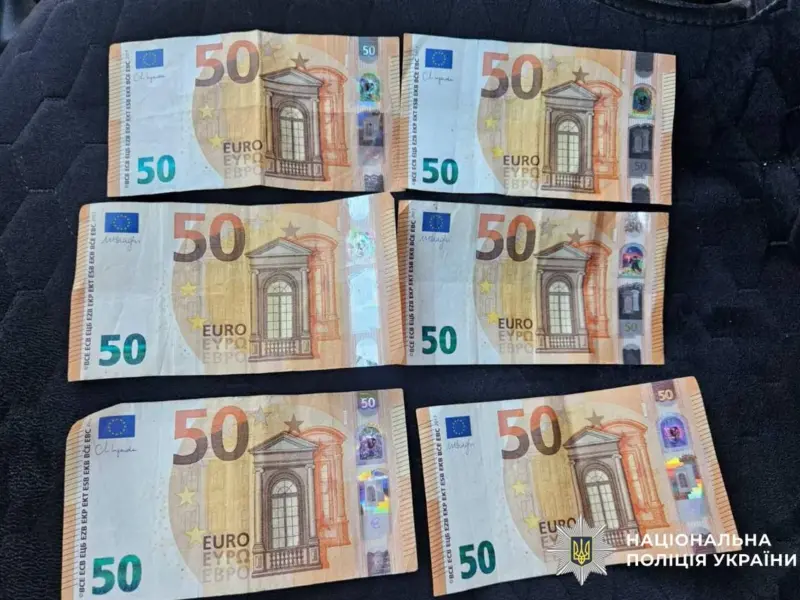 На Полтавщині п’яна водійка пропонувала поліціянтам хабар