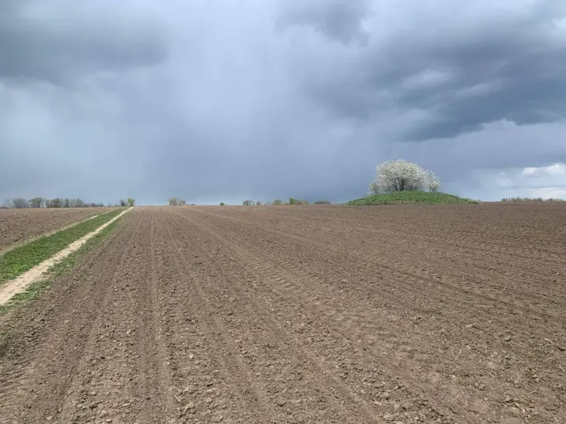 На Полтавщині археологи знайшли нову групу середньовічних курганів