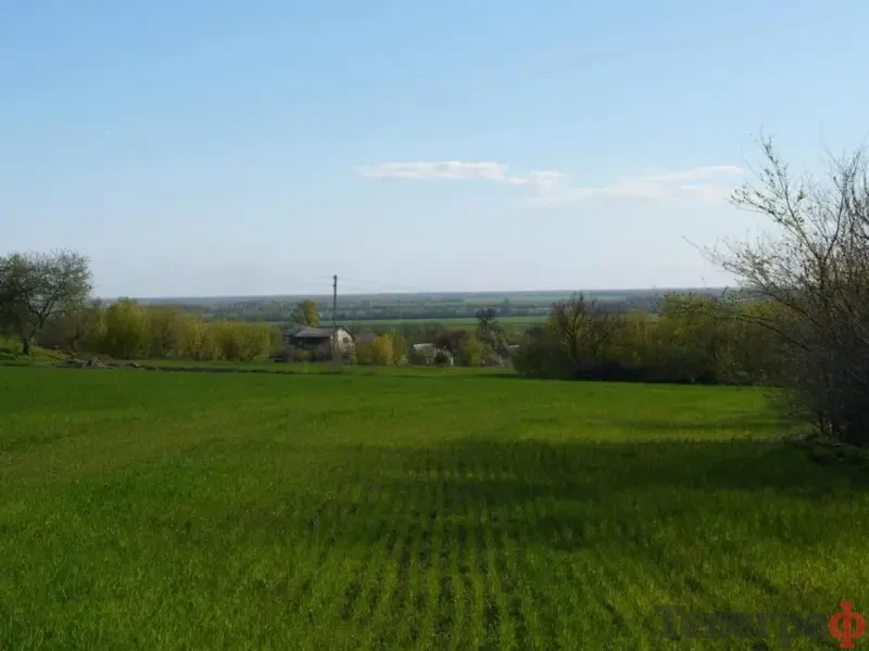 На Полтавщині прокуратура через суди повертає ліси та землі природного фонду