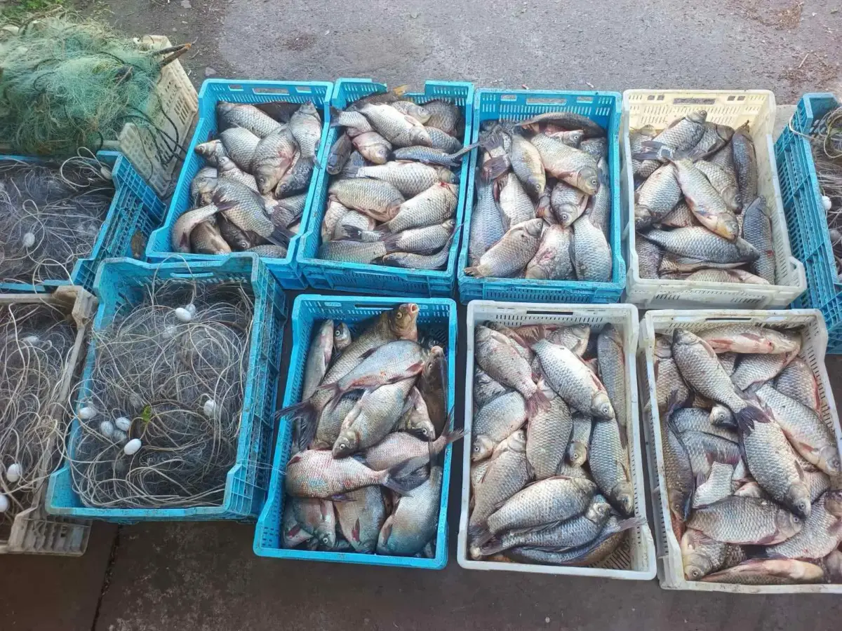 На Кременчуччині незаконно наловили риби на понад 300 тисяч гривень