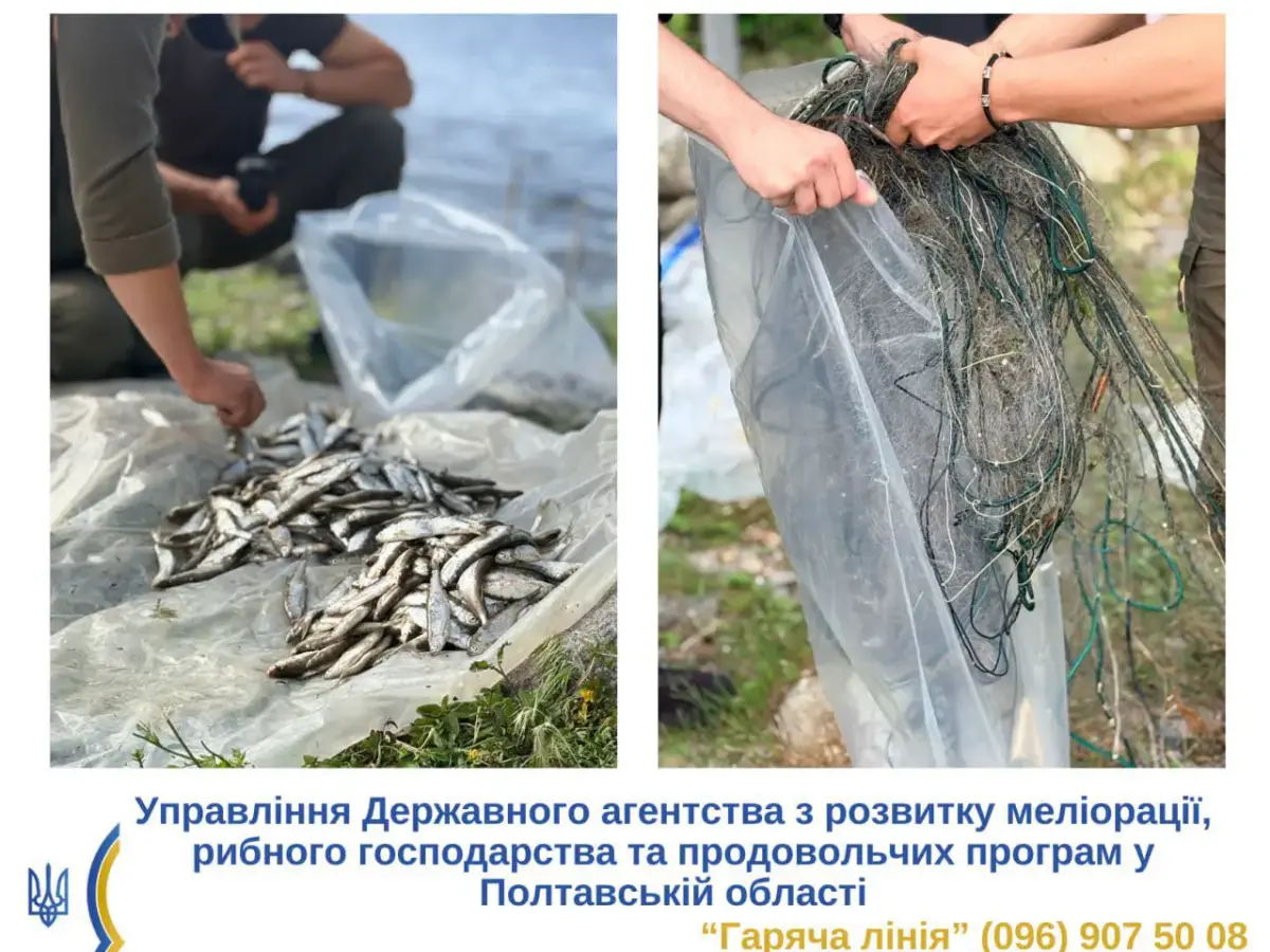 У Кременчуці під час нерестової заборони чоловік наловив риби на понад 160 тисяч гривень збитків