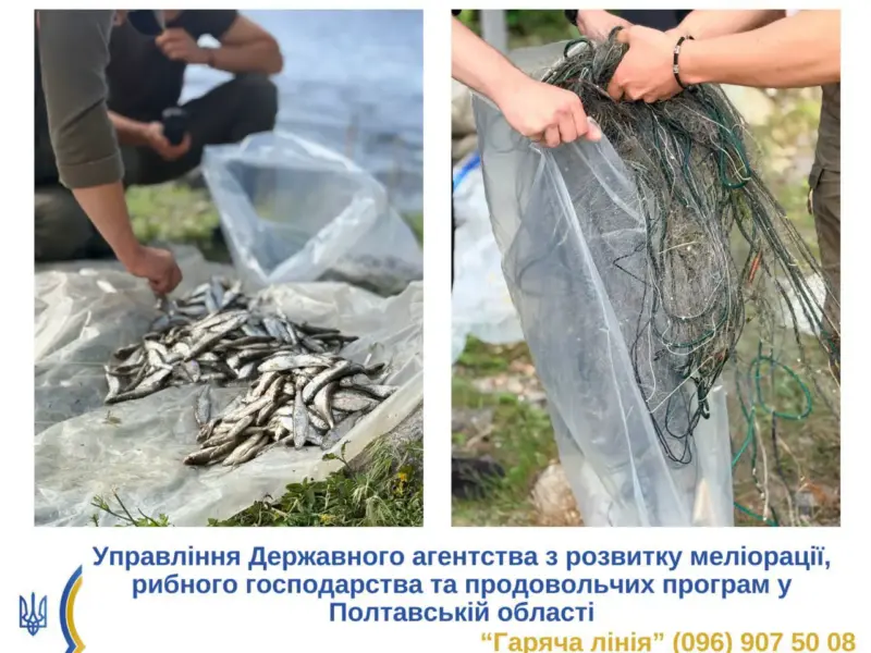У Кременчуці під час нерестової заборони чоловік наловив риби на понад 160 тисяч гривень збитків