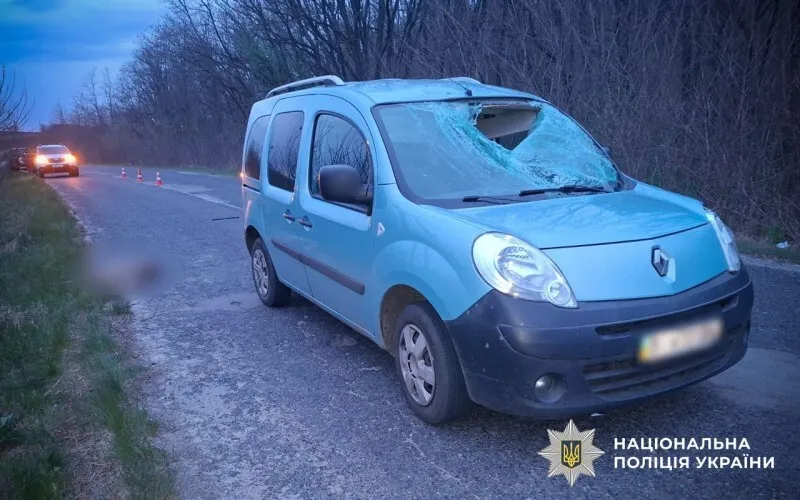На Полтавщині авто збило козулю: в аварії також травмувалася дитина