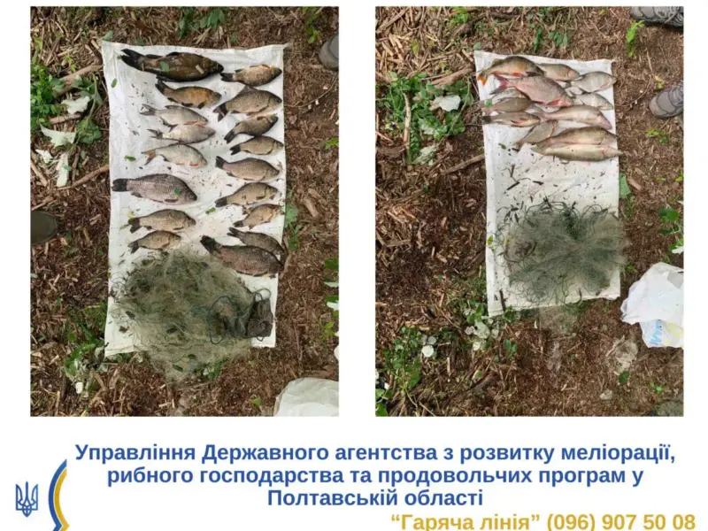 На Кам’янському водосховищі затримали браконьєра з забороненими знаряддями лову