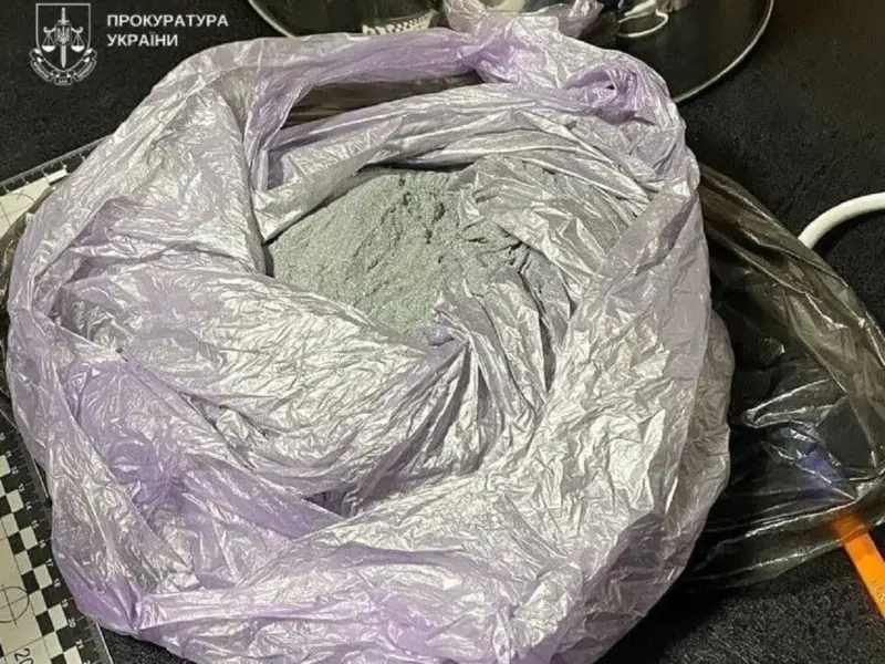 Жительку Лубен засудили до 15 років за підготовку теракту на Полтавщині