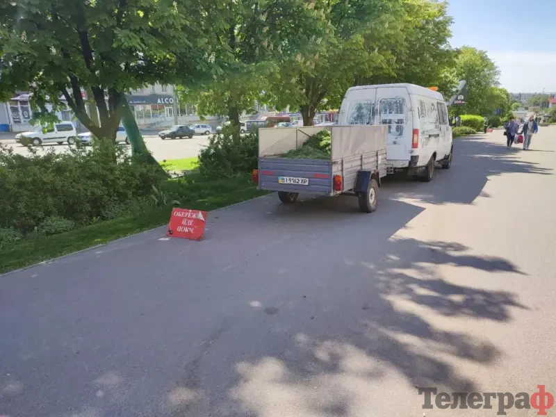 У Кременчуці перевірять покіс трави після скарг на зарості біля будинків