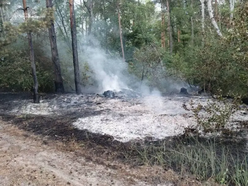 За минулу добу на Полтавщині сталося 10 пожеж: на Кременчуччині горіли ліс та житловий будинок