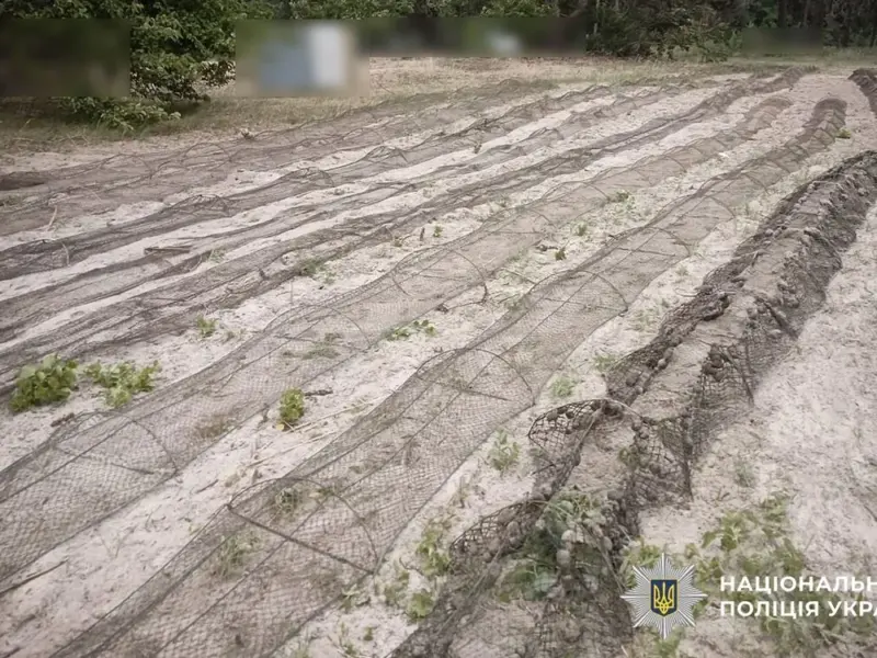 На Полтавщині з річки вилучили 14 браконьєрських раколовок завдовжки 350 м <img src="https://www.telegraf.in.ua/wp-content/uploads/2026/03/video.svg" alt="" class="feed-icon" style="width: 20px; height: 20px; vertical-align: middle;" />