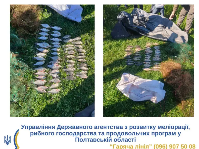 У «Білецьківських Плавнях» затримали двох браконьєрів із сітками