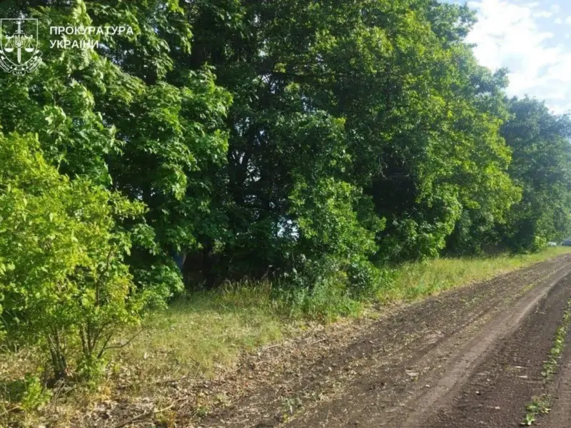 <span class="custom-bold">Полтавця, який зґвалтував та вбив дівчинку, засудили до довічного ув’язнення</span>