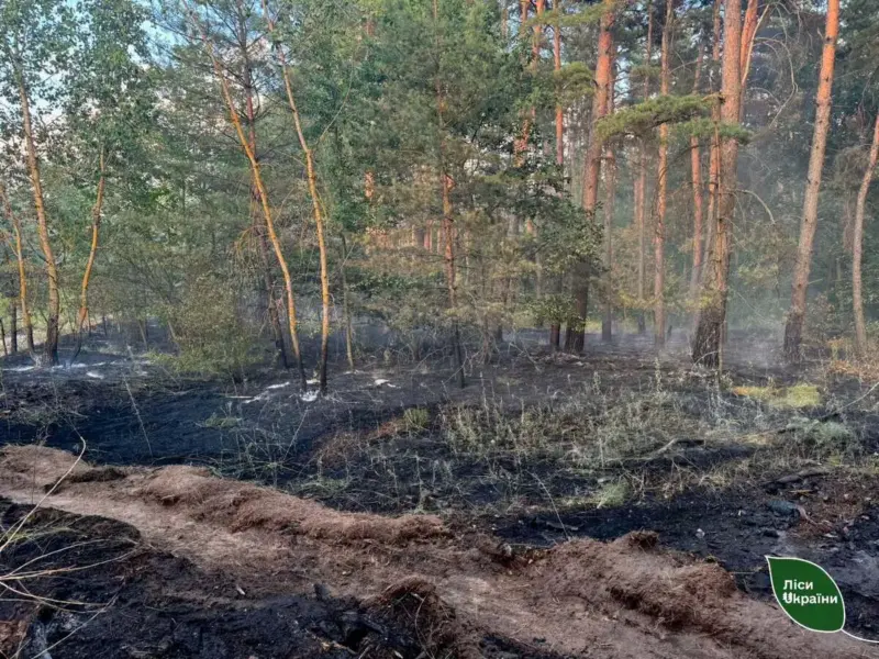 На Полтавщині через російський дрон загорівся ліс