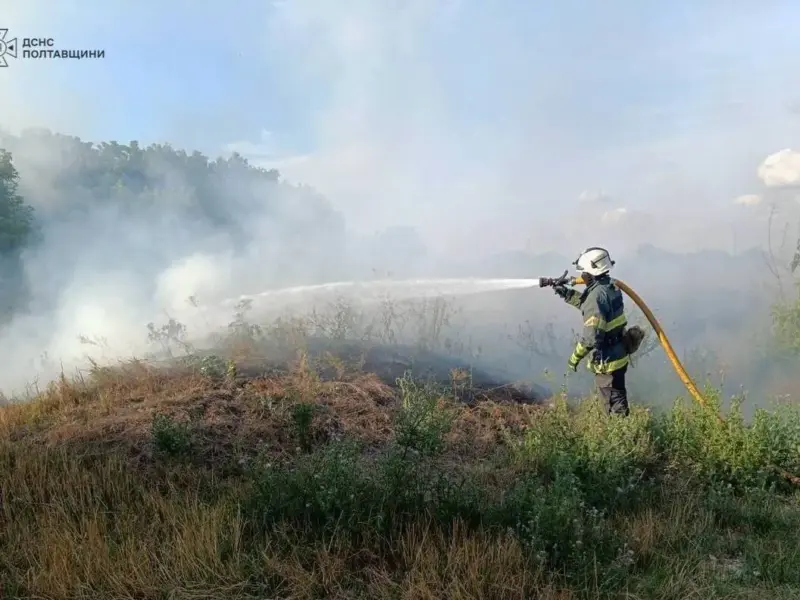 У Глобинській громаді вигорів гектар сухої трави