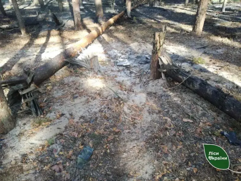 <span class="custom-bold">Через атаку російських дронів на Полтавщині загорівся ліс</span>