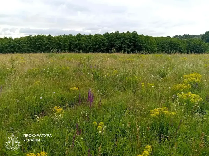 На Миргородщині офіційно визначили межі двох ботанічних заказників