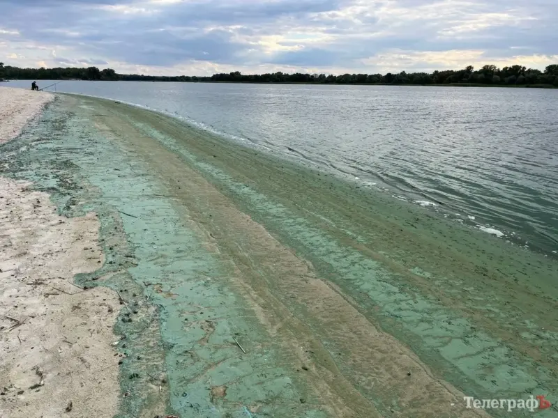 У воді Дніпра біля Власівського питного водозабору Кременчука виявили нафтопродукти й пестициди