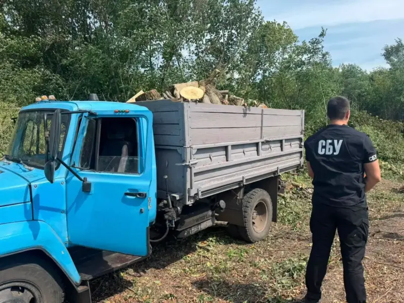 У Кременчуцькому районі незаконно вирубали дерева на понад мільйон гривень
